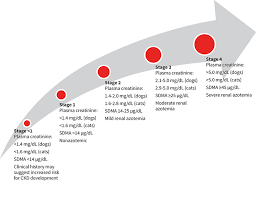 Chronic Kidney Disease Staging In Dogs Cats Clinician S Brief