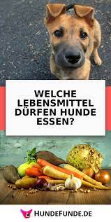 welche lebensmittel durfen hunde essen hund essen hunde ernahrung gemuse fur hunde