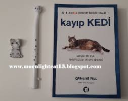 Moonlightcat13 Okuma Halleri Fotograflarla Kayip Kedi Caroli Okuma Kedi Kitap