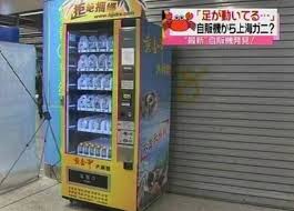 For when fast food isn't fast enough. 24 Vending Machines You Won T Believe Exist