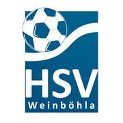 Hsv hamburg vergibt ersten matchball in dresden. Hsv Dresden E V Home Facebook
