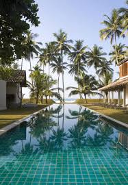 Frangipani Tree Shri Lanka Kanikuly Mechty Turizm