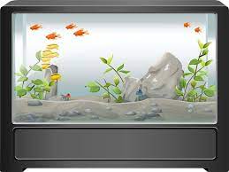 The tank is made of a higher quality and clear glass. Is It Healthy Or Unhealthy To Have A Fish Tank In Bedroom