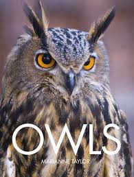 Eero saarinen's streamlined 1957 classic from his pedestal collection is the perfect quiet complement to kelly's colors. Of Course There S A Coffee Table Book Devoted To Owls Was Ist Das Owlsploitation