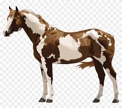 Download pinto horse images and photos. Paint Or Pinto Pinto Horse Png Free Transparent Png Clipart Images Download