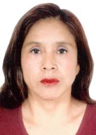 Ingresos de Otorongos Elecciones 2022