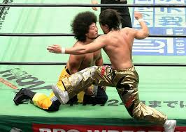Naomichi Marufuji