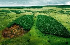 Что такое День Земли и как его отметить — Delo.ua