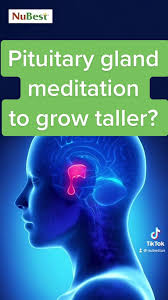 Unlocking Your Growth Potential: Pituitary Gland Dot Meditation Technique  For Height Increase - Spiritualsync.Com