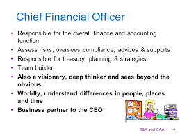 Create, assess and monitor financial goals, strategic objectives, and budgets; Role Of The Chief Financial Officer Riordan Associates And Chung Associates Ppt Download