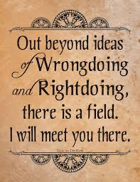 Somewhere Between Right And Wrong There S A Garden I Will Meet You There Rumi Quotes Rumi Rumi Poem