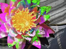 I have read of people solving this in two minutes and others over 2 hours. Abstract Floral Art Wild Lotus Flower Sharon Cummings Puzzle For Sale By Sharon Cummings