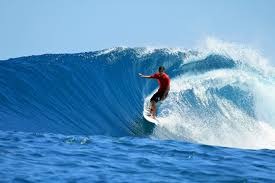 Image result for Surfing