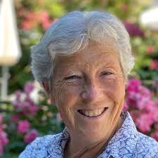 Demokratie Volksinitiative