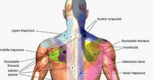We did not find results for: Massage Brisbane Qualified Therapists Remedial Pregnancy Lymphatic