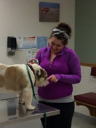 Check spelling or type a new query. Take A Tour Veterinarian In West Branch Ia The Family Pet Veterinary Clinic