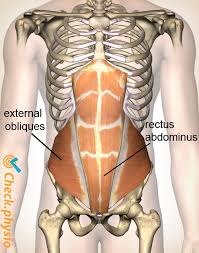A hernia will usually cause a distinct bulge where the tissue or organ pushes through the muscle wall. Pain In The Abdominal Muscles Physio Check