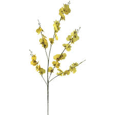 Find the best information and most relevant links on all topics related tothis domain may be for sale! Orchidea Artificiale Al Miglior Prezzo