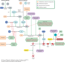 Hematologic Principles Goldfranks Toxicologic Emergencies