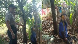 We did not find results for: Gara Gara Judi Online Agus Putuskan Gantung Diri Hingga Tulis Pesan Permintaan Maaf Berulang Ulang Tribun Jakarta
