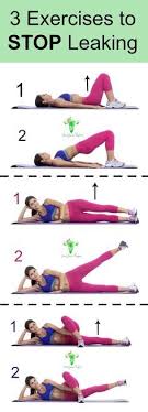 Pelvic Floor Exercises 3 Easy Exercises To Stop Leaking Exercise Easy Workouts Floor Workouts