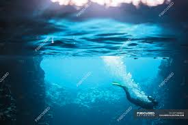 We did not find results for: Woman Scuba Diving Underwater Vava U Tonga Pacific Ocean Picturesque Under Water Stock Photo 221350602