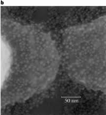 Operation relies on single electron tunneling through a nano scale junction. A Single Electron Transistor Made From A Cadmium Selenide Nanocrystal Nature
