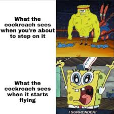 Sign for the new uberhumor newsletter picture. Really Be Like That R Bikinibottomtwitter Spongebob Squarepants Know Your Meme
