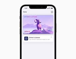 How to add insurance card to apple wallet. Apple S Wallet App May Soon Support Your State Id Or Driver S License Imore