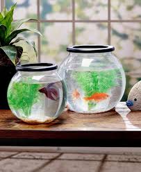 Betta Fishbowl Starter Kit 5pc Betta 0 5 Gal Fish Bowl Kit Pet Supplies Betta Fish Bowl Fish Bowl Pet Supplies
