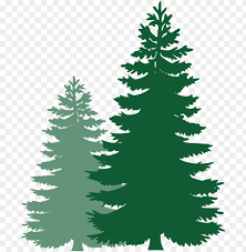 Christmas tree drawing christmas and holiday season christmas ornament, christmas tree design, painted, decor png. Ine Tree Vector Clipart Christmas Tree Silhouette Png Image With Transparent Background Toppng