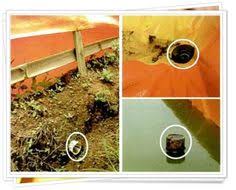 Beli produk terpal kolam ikan berkualitas dengan harga murah dari berbagai pelapak di indonesia. 11 Kolam Terpal Ideas Backyard Aquaponics Aquaponics Aquaponic Gardening