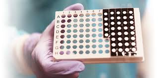 Image result for Respiratory Panel