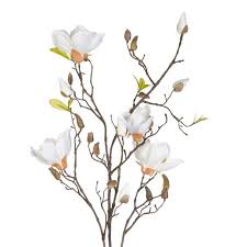 We did not find results for: Faux Magnolia Contorta Flower Stem Faux Flowers Fake Flower Bouquet Faux Floral Arrangement