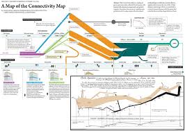 A Scientific Poster Depicting The Connectivity Map