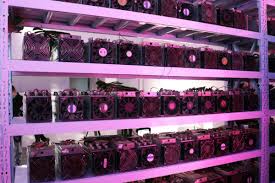 A rig like this at current difficulty / exchange rate will net around $500+ usd. Ebang Share Prices Still In Free Fall After Short Report Technode