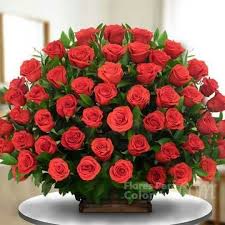 Cuando los enfermeros le avisan que ya se acerca, él va. Pin By Isabela Coral On Imagenes Large Flower Arrangements Floral Designs Arrangements Flowers