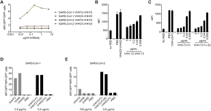 Alexa fluor 514™ excitation spectra. Structural Basis For Potent Neutralization Of Betacoronaviruses By Single Domain Camelid Antibodies Sciencedirect