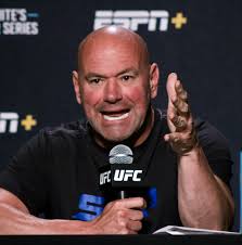 Sticker shock! Jake Paul jacks up PPV price for Mike Perry boxing match