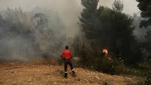 Η συγκλονιστικη πρεμιερα τησ παραστασησ «πυρκαγιεσ» καθηλωσε το κοινο. Se 21 Anhl8an Oi Dasikes Pyrkagies Poy Ekdhlw8hkan To Teleytaio 24wro Skai