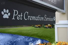 We've found the top pet funeral planners near you. Burroughs Funeral Home Cremation Services Murrells Inlet Sc Funeral Home And Cremation