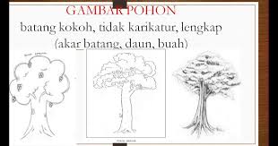 Simulasi Tes Psikotes Gambar Pohon Pasukan Random Email By How To Draw The Right Tree Of Psychology Exam Soal Psikotes Dan Jawaban Dile Pohon Gambar Sketsa