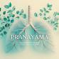 Pranayama Breathwork Basics  — DayDream event image