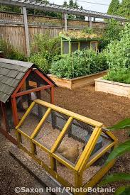 sustainable garden farm gardens backyard garden