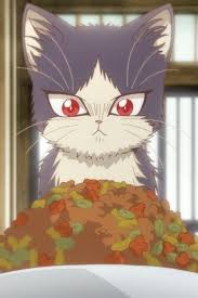Doukyonin Wa Hiza Is Freaking Cute Anime Shelter Anime Cat Anime Neko Cat