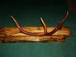 Antler Coat Hat Rack By Gkwoodgallery On Etsy 350 00 Antler Projects Hunting Decor Antler Crafts