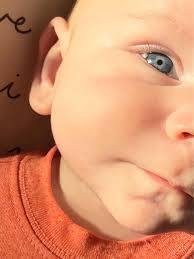 Cole Perkins announces candidacy for Boone mayor