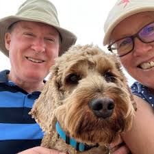 Heather Barratt (@hesterbeehive)