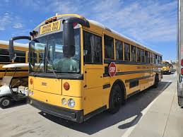 Image result for Saffran Yellow 2007 Transit