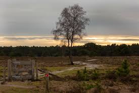 Les meilleures offres pour ak leersum utrecht, kasteel zuylestein, château, des champs sont sur ebay ✓ comparez les prix et les. Wandelroute Leersumser Veld Wandelen Utrechtse Heuvelrug
